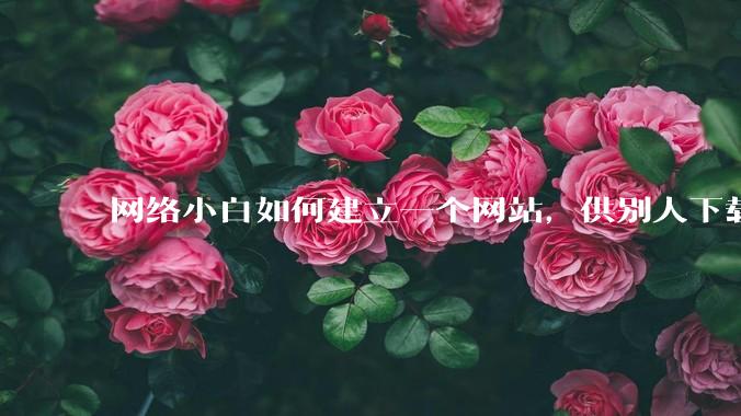 网络小白如何建立一个网站，供别人下载文件（主要是PDF和MP3）?