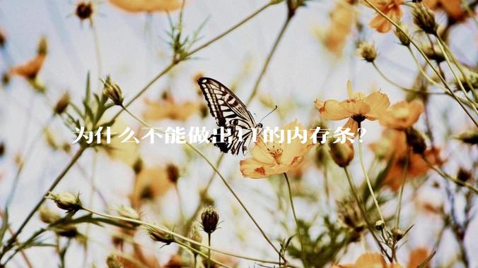 为什么不能做出1T的内存条？