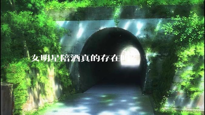 女明星陪酒真的存在吗？